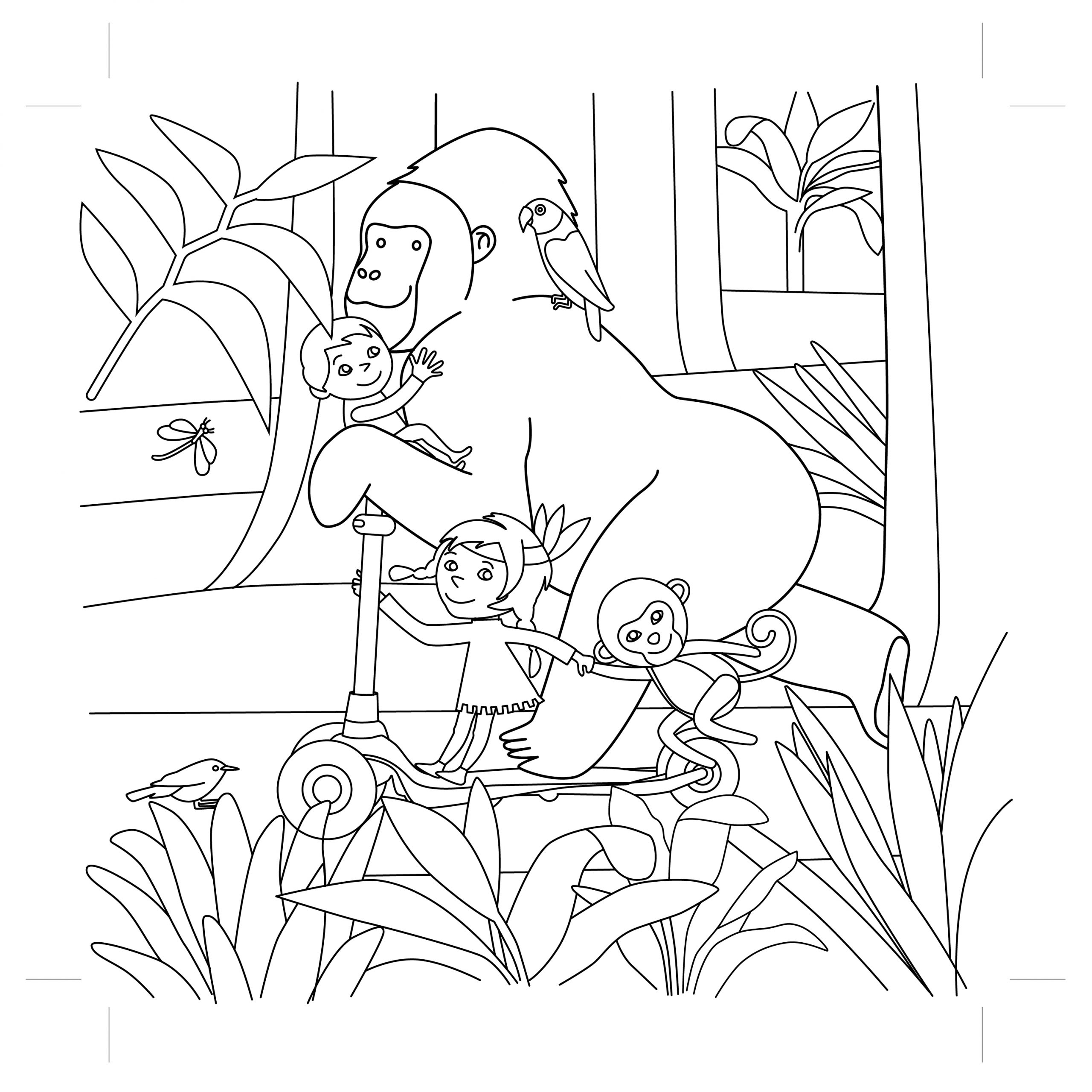 Exe carteforet Plan de travail 1