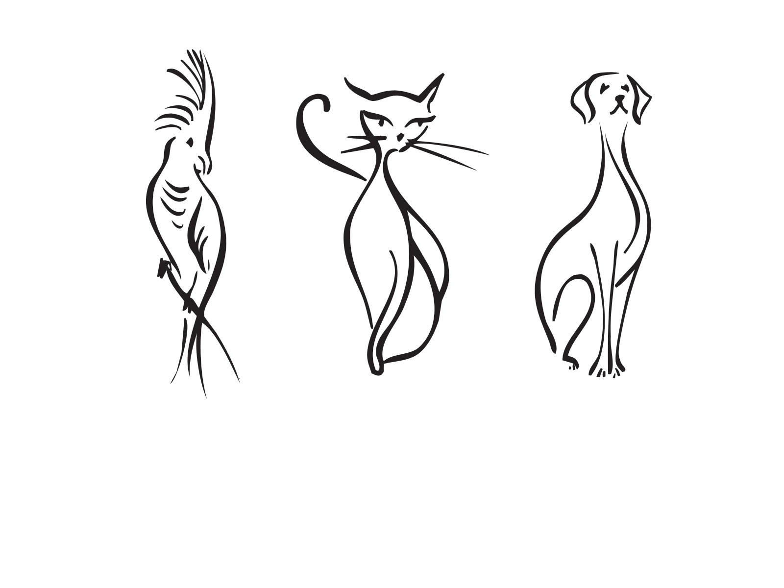 FAVEREAUBéatrice-Illustrations-ANIMAUX-2438