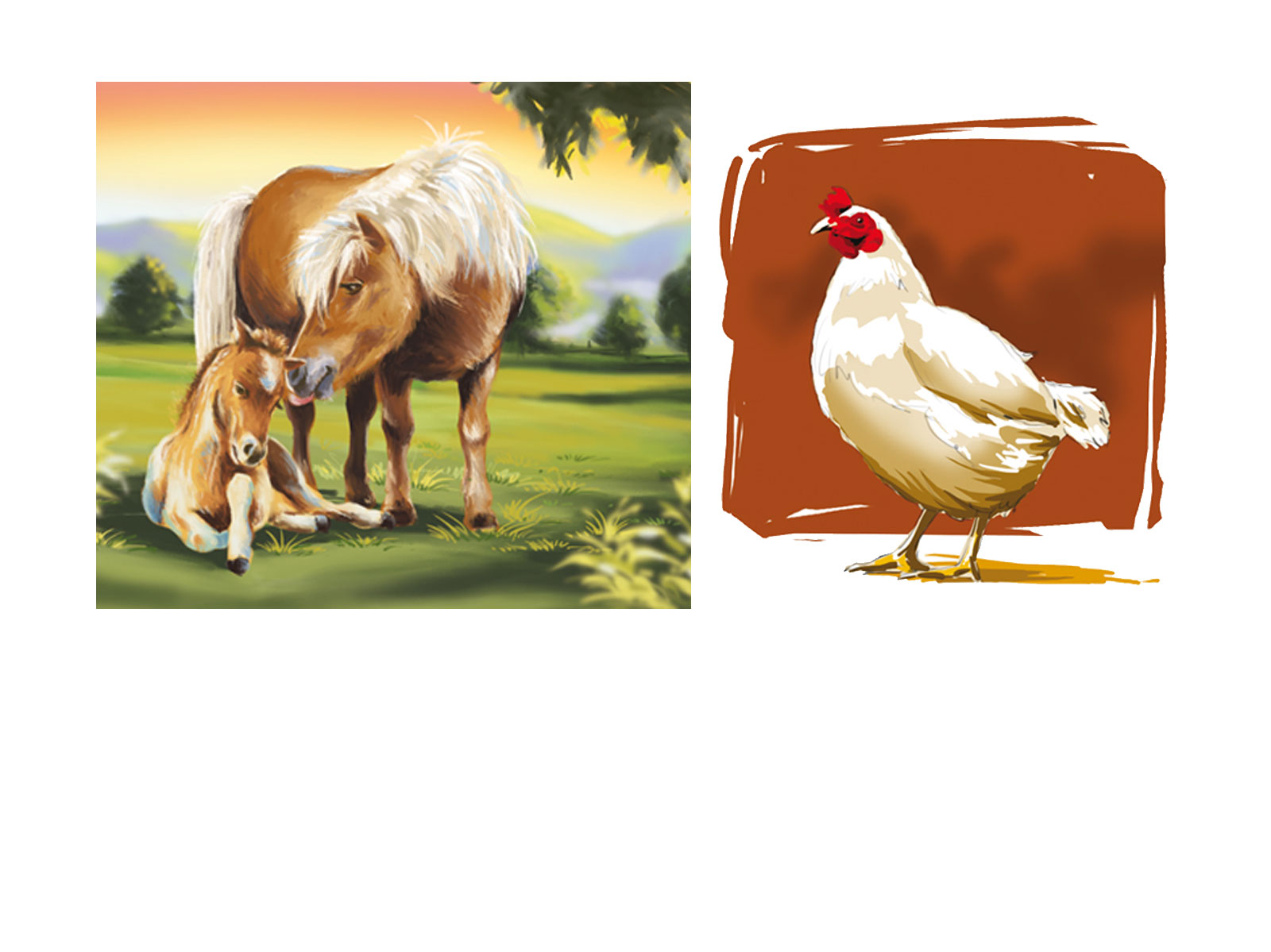 INGRANDMarc-Illustrations-ANIMAUX-2443