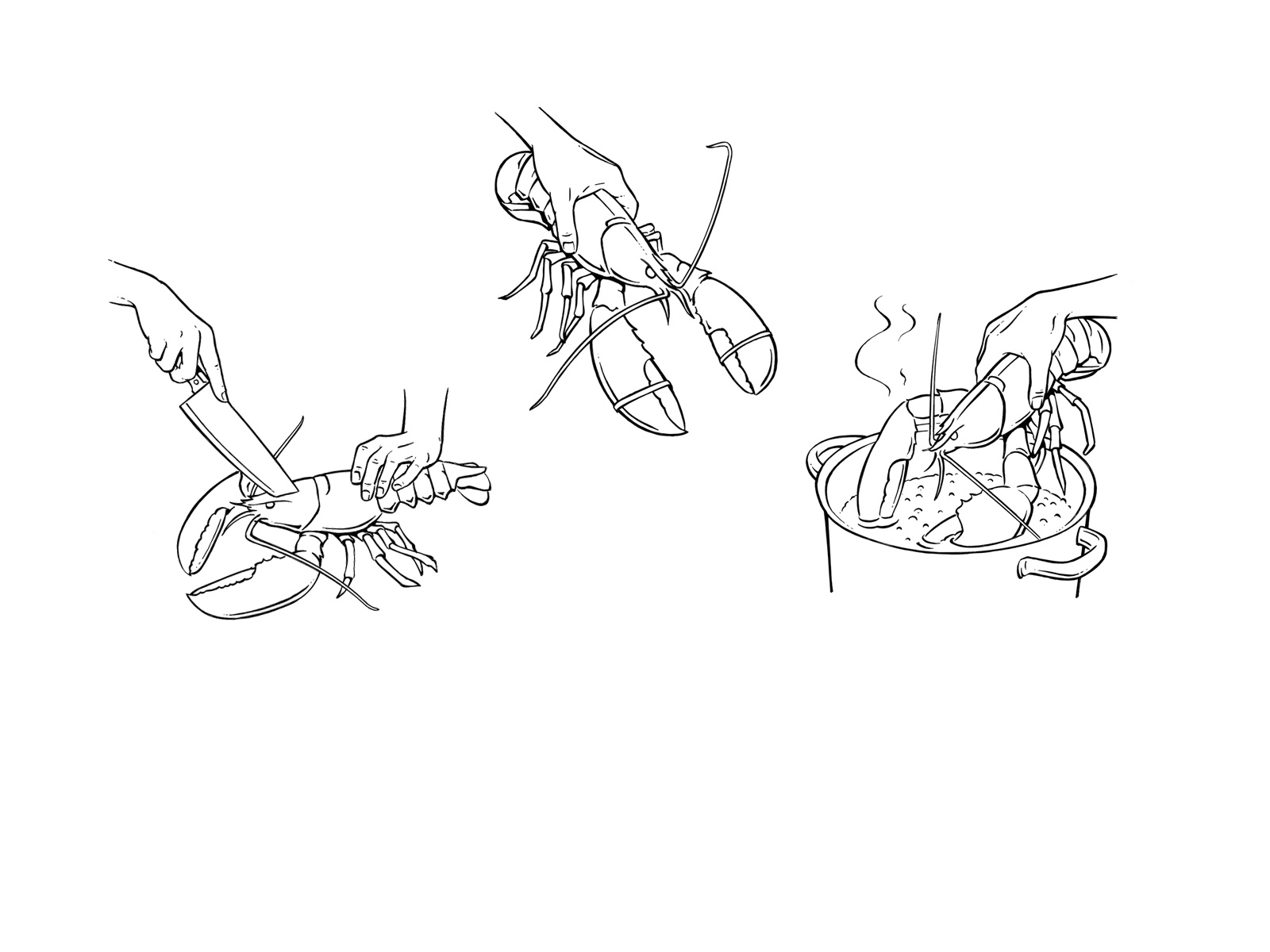 VANDEELENFred-Illustrations-VIGNETTES PICTOS-2662