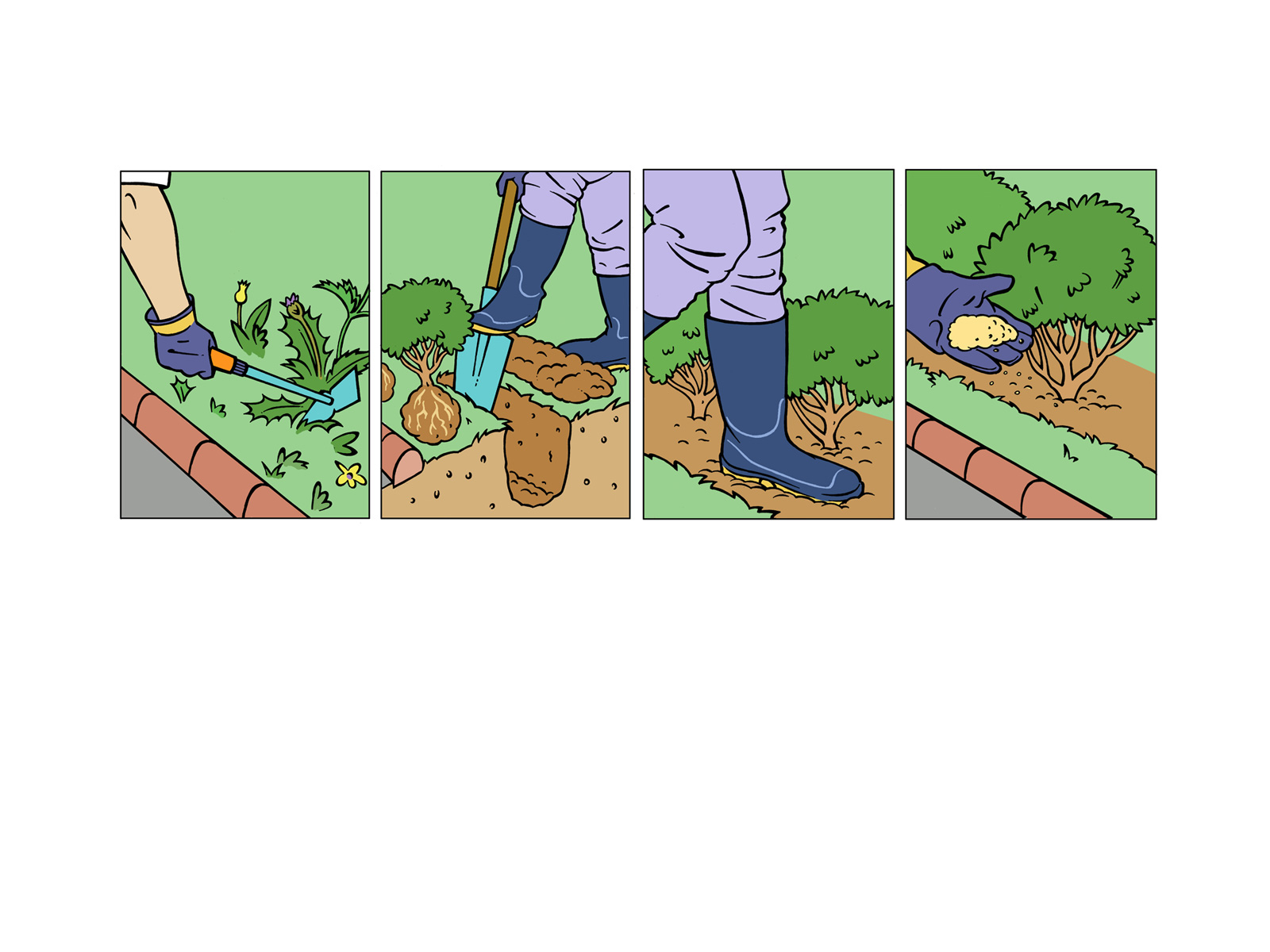 VANDEELENFred-Illustrations-BOTANIQUE-2761