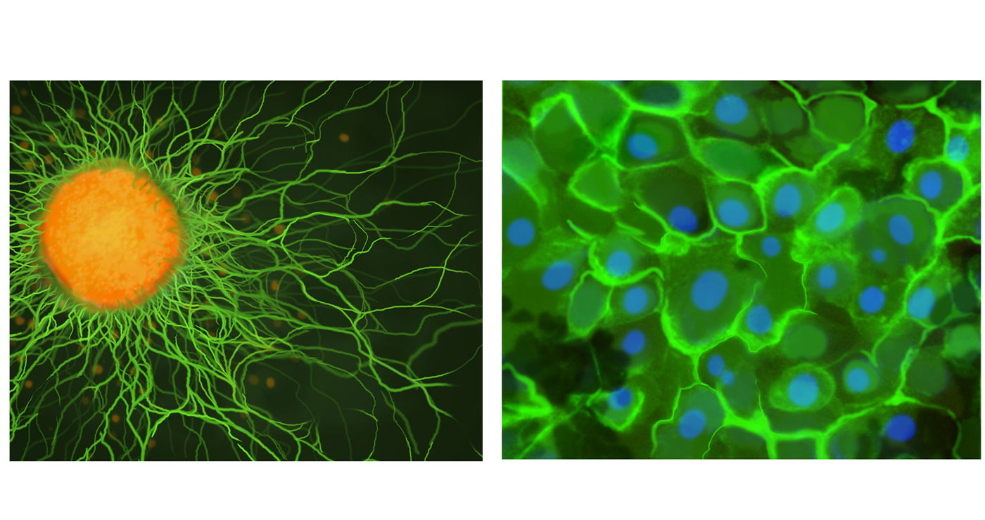 Fred-van-Deelen-medical4