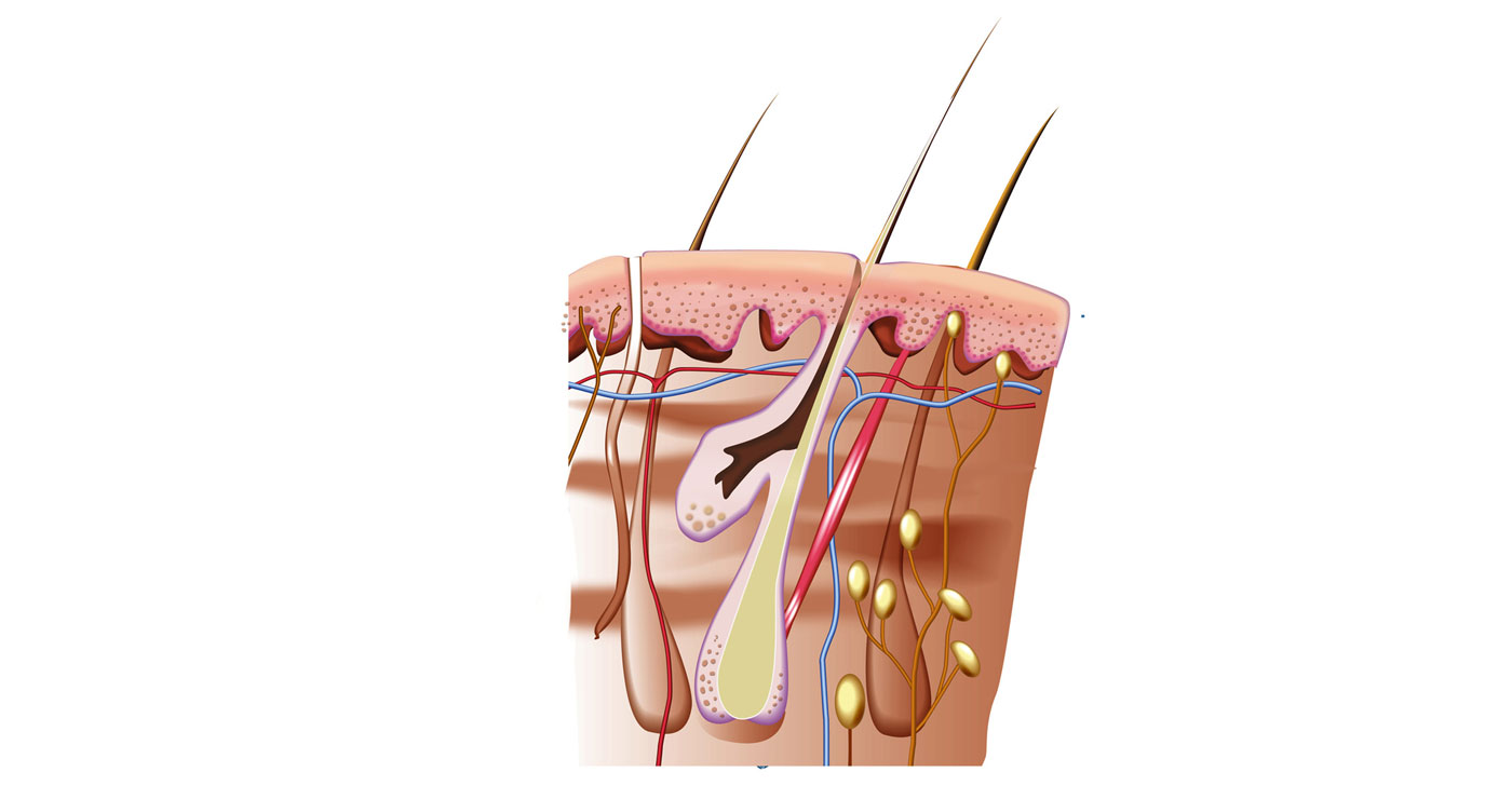 Fred-van-Deelen-medical7