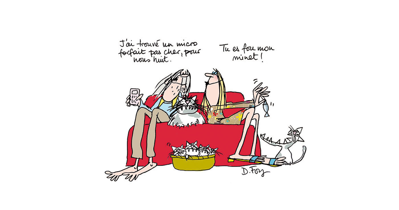dominique-foy-illustration-chats