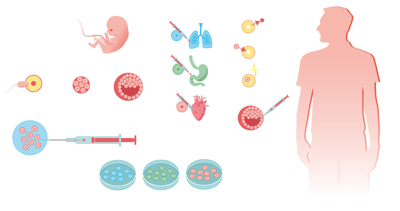 fred-van-deelen-vignettes-medicale-614