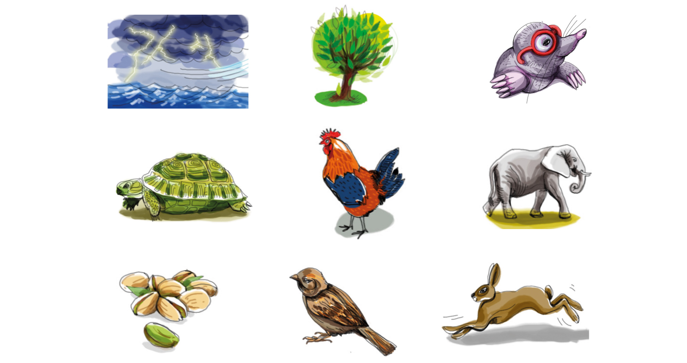 gabrielle illustration picto nature03