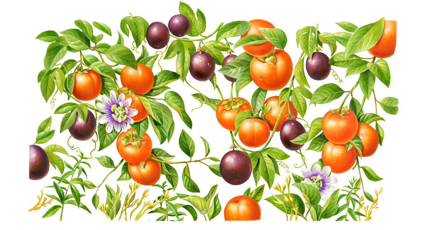 illustration fred van deelen alimentaire 1 09