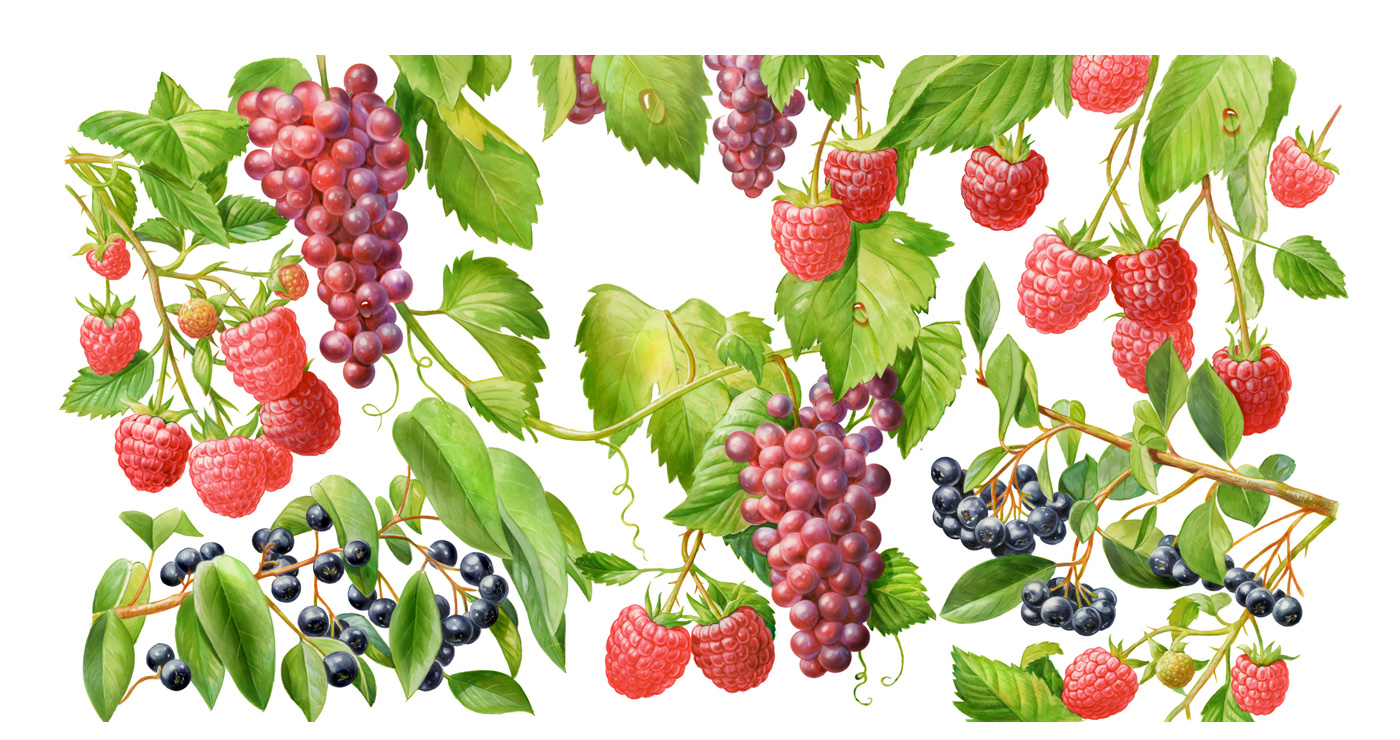 illustration fred van deelen alimentaire 2 09