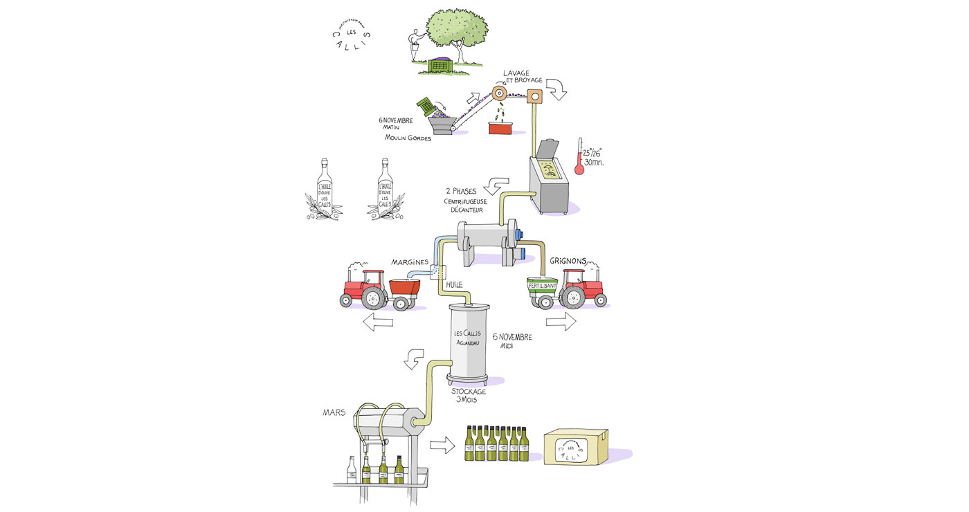 illustration-fred-van-deelen-cartes-olives-06