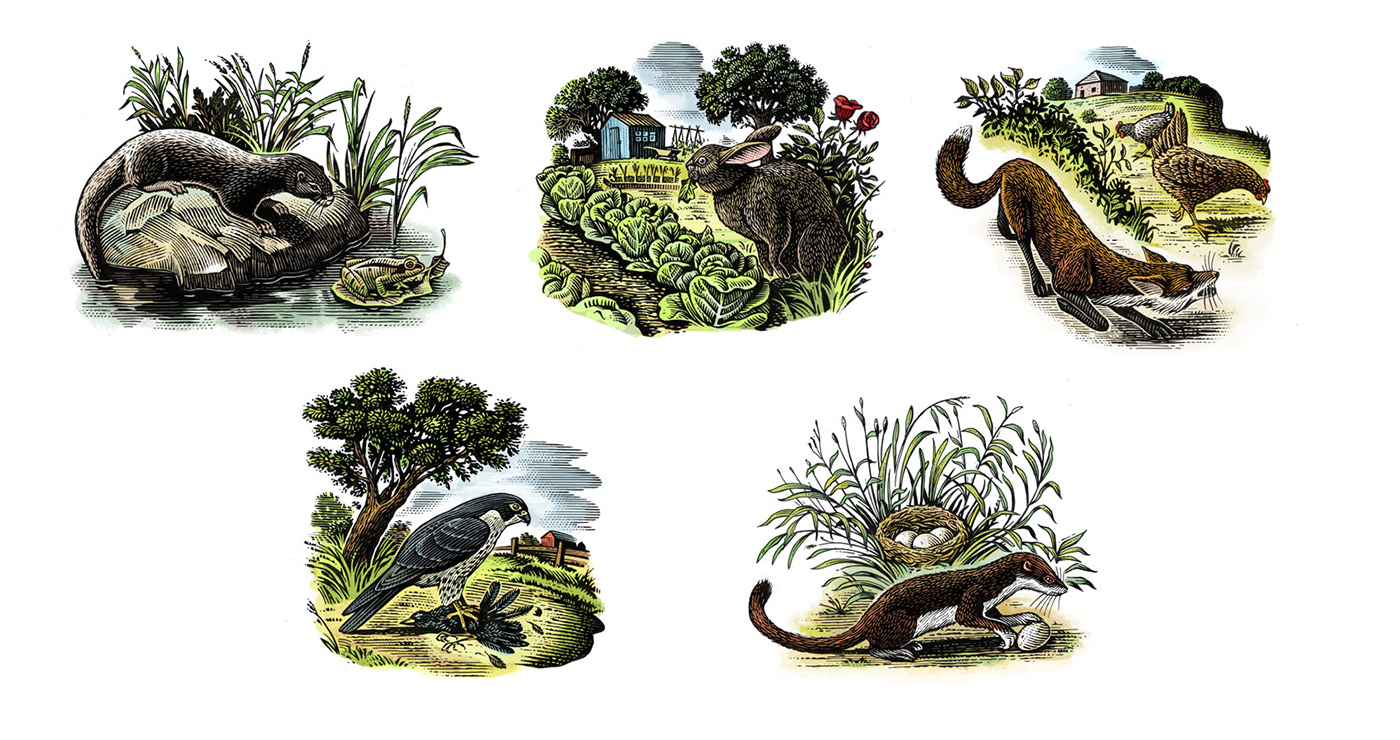 illustration frederik gravure animaux 01 1