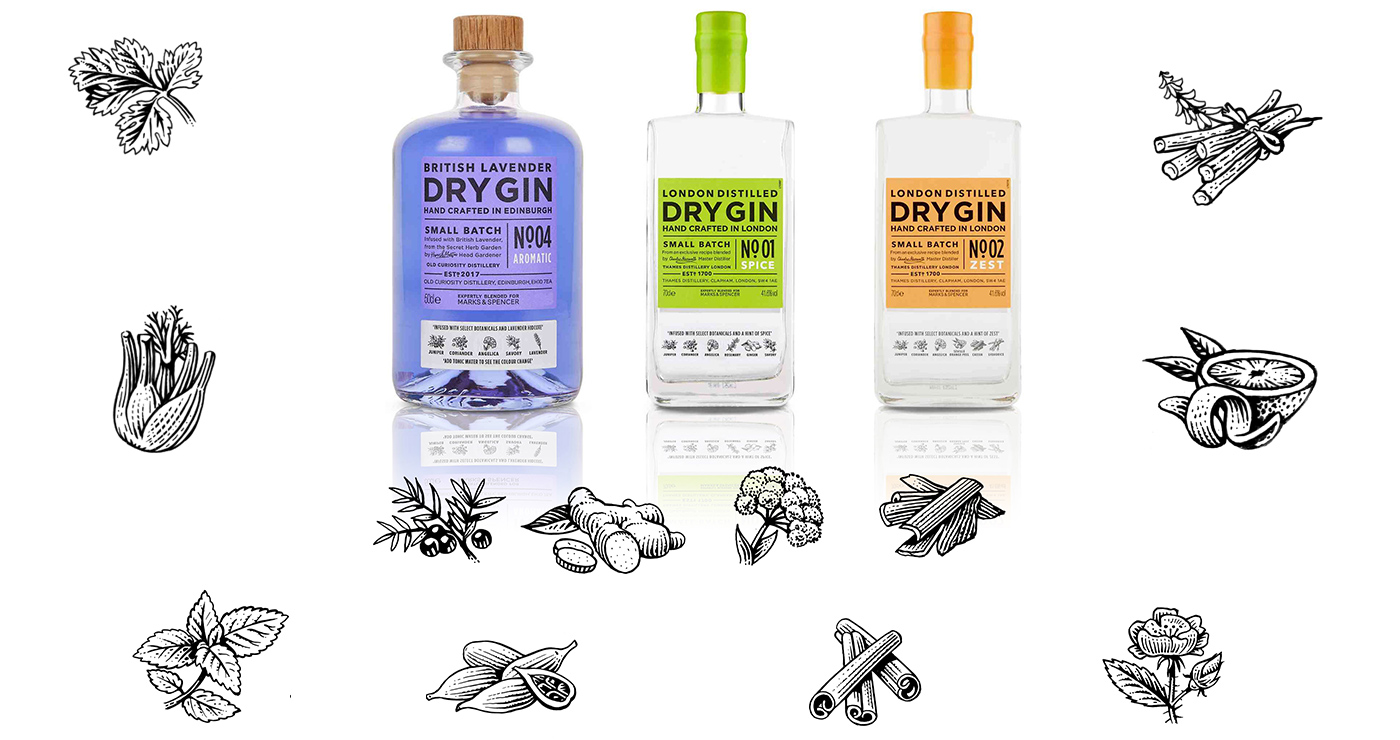 illustration frederik gravure vignettes gin 01 1