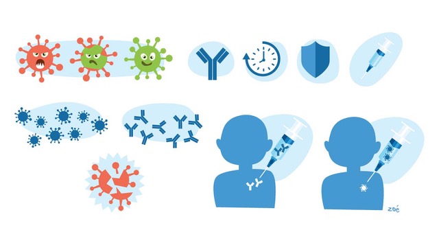illustrations Zoe Astrazeneca pictos