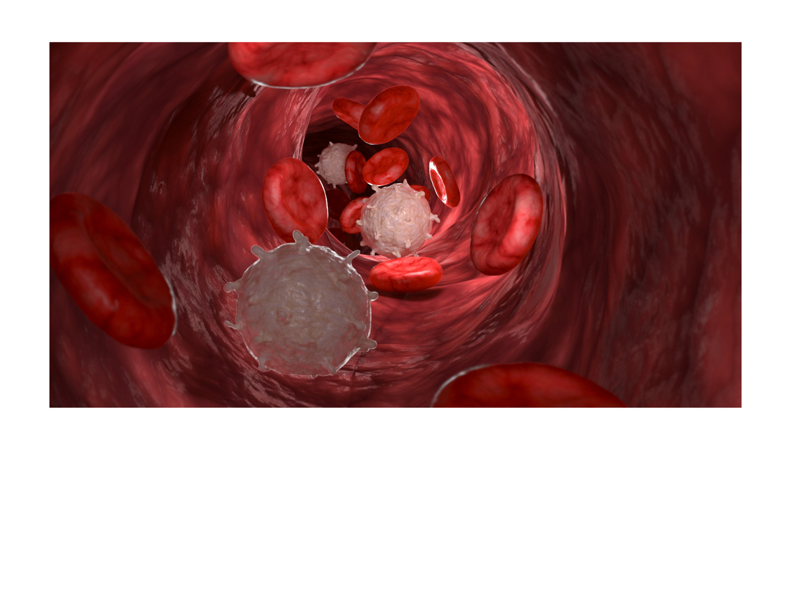 jean-pascal-donnot-3D-fluxsanguin