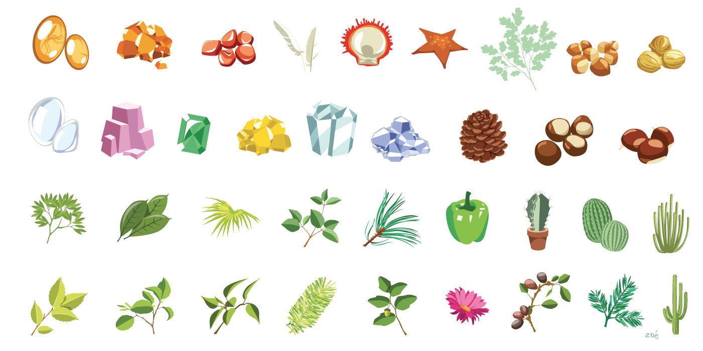 zoe-illustration-pictos-nature